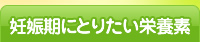 妊娠期にとりたい栄養素