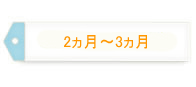 2～3ヵ月