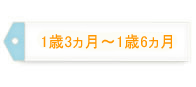 1歳3～6ヵ月