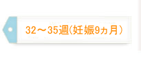 32～35週（妊娠9ヵ月）