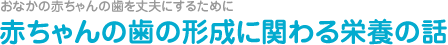 おなかの赤ちゃんの歯を丈夫にするために　赤ちゃんの歯の形成に関わる栄養の話