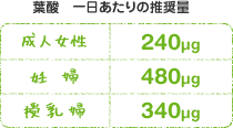 葉酸　一日あたりの推奨量