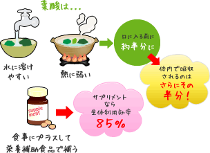 葉酸は・・・水に溶けやすい/熱に弱い&rarr;口に入る前に約半分に&rarr;体内で吸収されるのはさらにその半分！、食事にプラスして栄養補助食品で補う&rarr;サプリメントなら生体利用効率８５％