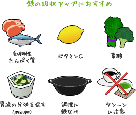 鉄の吸収アップにおすすめ 動物性たんぱく質/ビタミンＣ/葉酸/胃液の分泌を促す（酢の物）/調理に鉄なべ/タンニンに注意