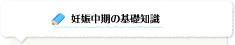 妊娠中期の基礎知識